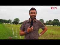 VIDEO | I mungitori indiani non sono lavoratori stagionali
