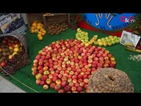 VIDEO | Tuttomele compie 40 anni