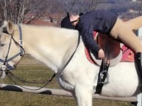 Il Comune di Pinerolo e il Coni sostengono i corsi di volteggio equestre