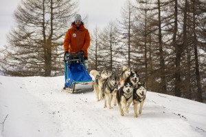 Una competizione che si svolge in un ambiente ricco di fascino