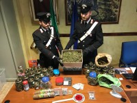 I genitori coltivano marijuana, il figlio la consegna