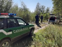 Il luogo dove è stato ucciso il
cane