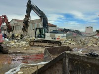 Piossasco, sono 40 le mucche salvate dai Vigili del fuoco