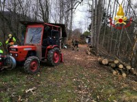 Bagnolo, durante la potatura  viene colpito al volto da un grosso ramo
