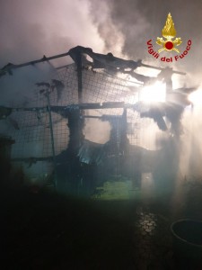 Scalenghe incendio baracca cani