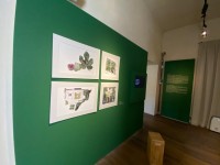 VIDEO | Oltre il giardino, l’abbecedario di Paolo Pejrone nel castello di Miradolo