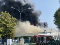 Dopo il rogo una moria di pesci
