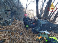 Due cani da caccia salvati dai vigili del fuoco