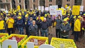 5e652631-de3e-4290-ada0-1345c5ebf927