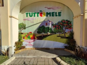 tuttomele1