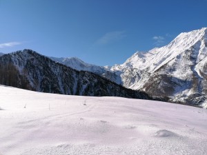 PRALI