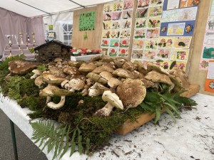 FUNGHI SAN PIETRO