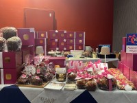 Panettone in vetrina 18 esima edizione