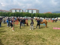 A Pinerolo la fiera patronale di San Donato porta tornei sportivi e tante bancarelle