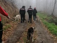 Pramollo, tre cani trovati incatenati nei boschi: salvati da LAV e Carabinieri