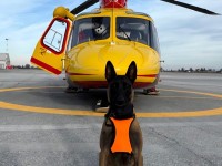 Da oggi sempre pronti a salire in elicottero i cani del Soccorso Alpino