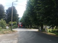Luserna San Giovanni, il TAR respinge la richiesta di sospensiva contro l’abbattimento dei tigli