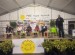 Pinerolo: si chiude con il commosso ricordo delle vittime del ponte Morandi il Pine Hope Festival