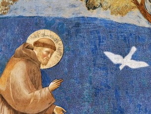 Pinerolo, entrano nel vivo le iniziative per l’ottavo centenario  della nascita del santo con la mostra “Giotto e San Francesco”